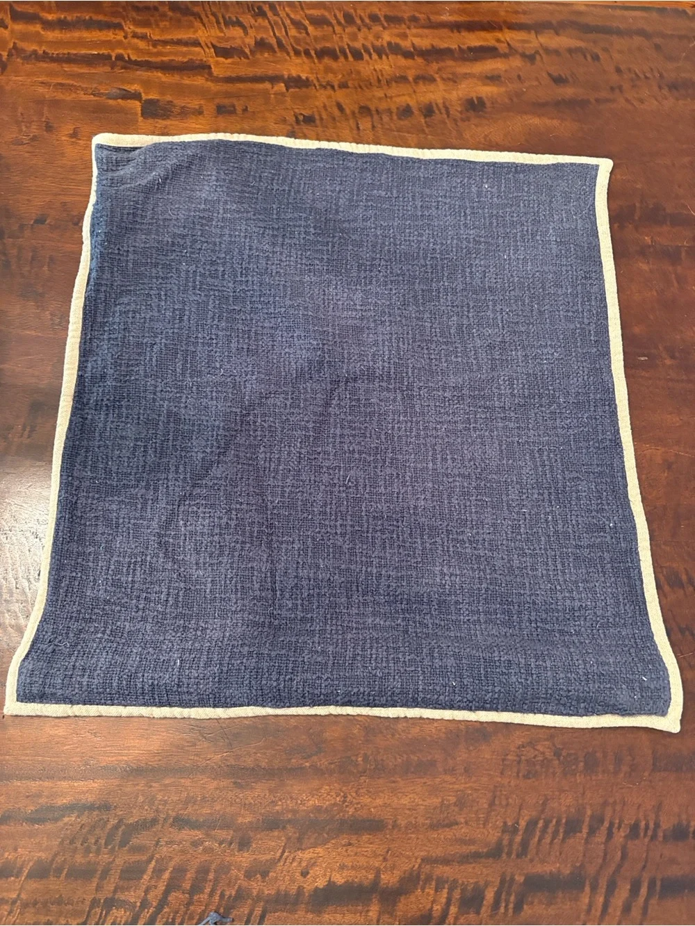 Pottery Barn Navy Accent Pillow Cover with Cream Border